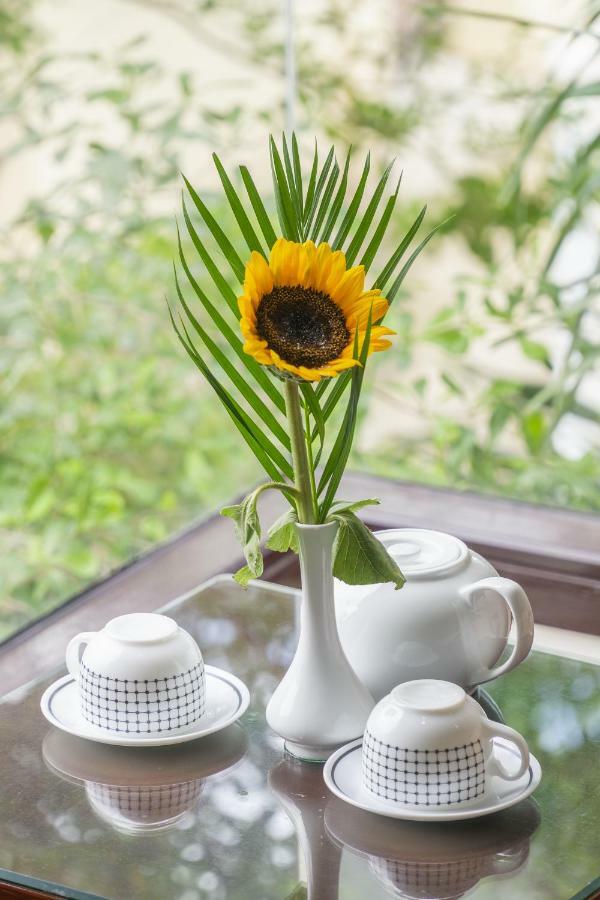 Golden Soulmate homestay Hoi An Eksteriør billede